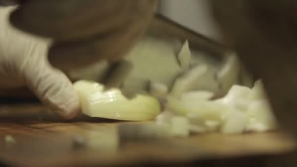 Cebolas Brancas Corte Cebola Branca Pequenas Peças Uma Placa Corte — Vídeo de Stock