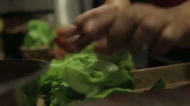 Marul - Sıralama Marul Yaprakları - Yan Açı