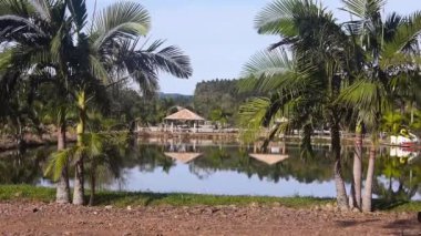 Hindistancevizi ağaçlarıyla güzel bir gölde kulübeler