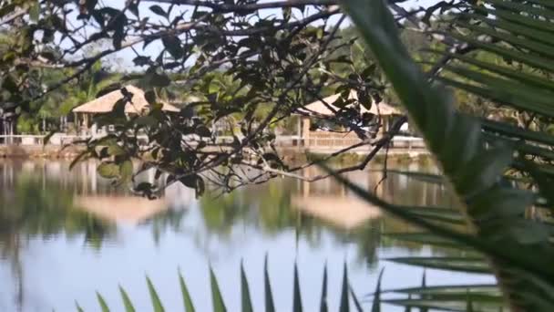 Blur Refelection Kiosk Μια Όμορφη Λίμνη Μέσα Από Φύλλα Καρύδας — Αρχείο Βίντεο
