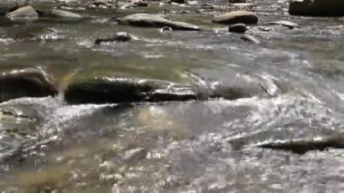 Kayalıklı Bir Ormanda Nehir - 3. Yaklaş