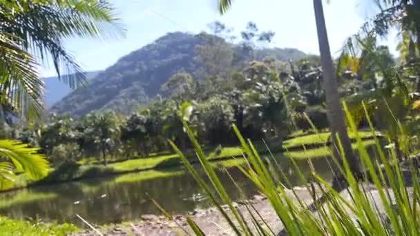 Naturens Skönhet Praia Grande Brasilien Flytta Höger Till Vänster — Stockvideo