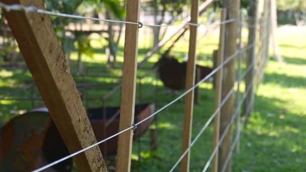 Valla Madera Con Alambre Metal Campo Verde Cerca — Vídeos de Stock