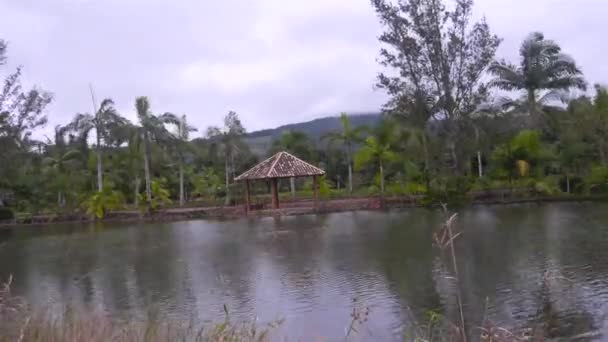 环绕着椰子树的湖中的Kiosk选择 时光流逝 — 图库视频影像