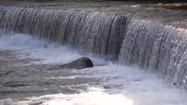 Voda Tekoucí Dolů Malý Vodopád Zavřít — Stock video