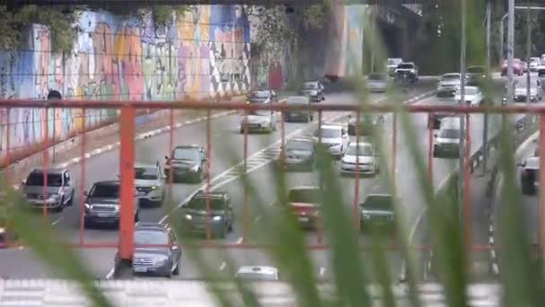 Auto Mensen Leven Een Brug Een Stad — Stockvideo