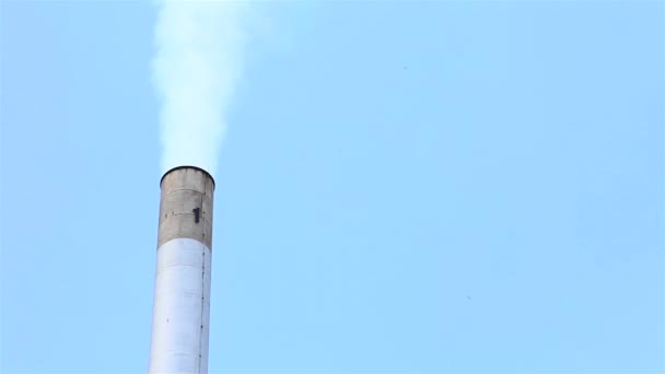 Fumaça Saindo Fábrica Chaminé Fechar — Vídeo de Stock