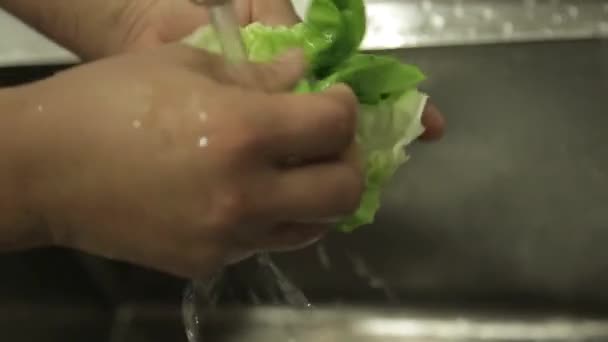 Lettuce Tvättråd Blad Med Vatten Närbild Side Angle — Stockvideo