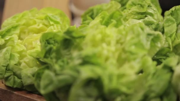 Lettuce Lettuce Basket Slider Vänster Till Höger Focus Pull — Stockvideo