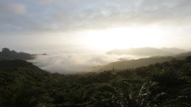 Kuala Lumpur - Malezya - Sabah: Bulutlar ve Sis 2 ile Palm Oil Plantasyonu Üzerinde Gün Doğumu