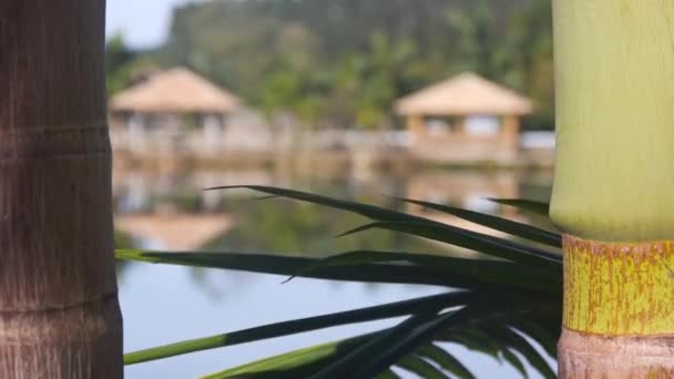 Blur Herverkiezing Van Kiosk Beautiful Lake Coconut Bomen — Stockvideo