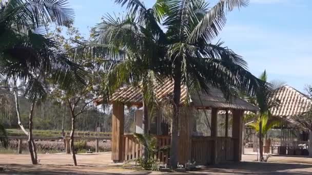 Bambusové Chýše Farmě Resort Pan Zprava Doleva — Stock video