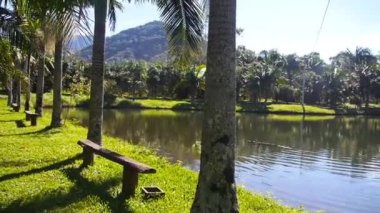 Tatil köyündeki güzel bir gölün yanında çiğ ahşap banklar.