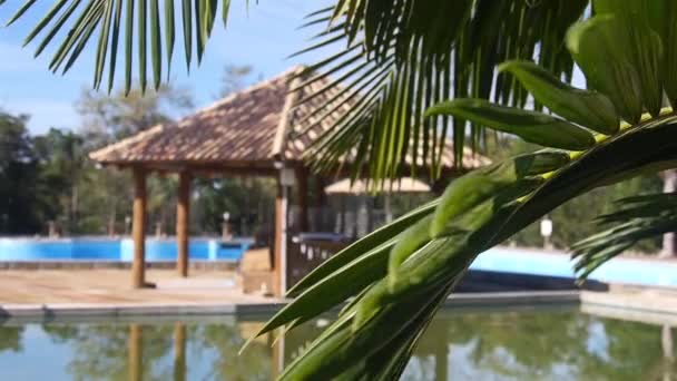 Quiosco Una Piscina Resort Revelando Desde Detrás Las Hojas Mano — Vídeo de stock