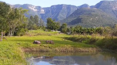 Kanyonların önündeki Büyülü Yeşil Köy