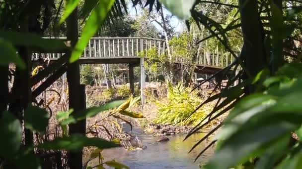 Houten Oude Brug Een Kleine Rivier Een Resort — Stockvideo