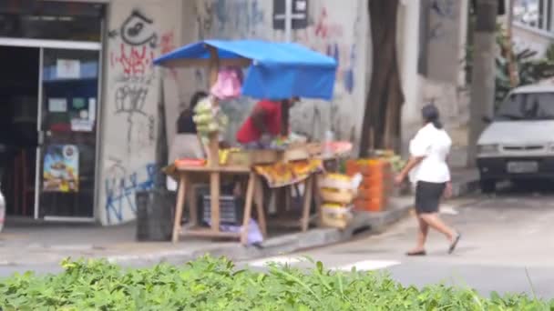 Şehir Caddesinin Köşesindeki Açık Hava Satıcısı — Stok video