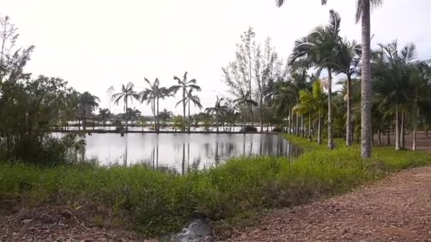 Sulama Sistemli Göl Suyu Bir Çiftlikte Pan Sağdan Sola — Stok video