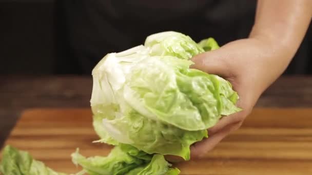 Lettuce Cutting Lettuce Wood Complete Process Front Angle — Stok Video