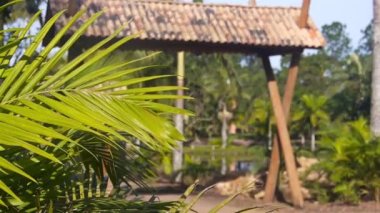 Dev Tahta Bambu Kapısı - Yapraklardan Odaklan