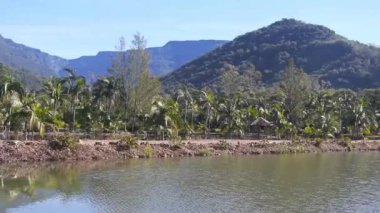 Yeşil Kanyonlarda, ördek sürüşleriyle Sağdan Sola