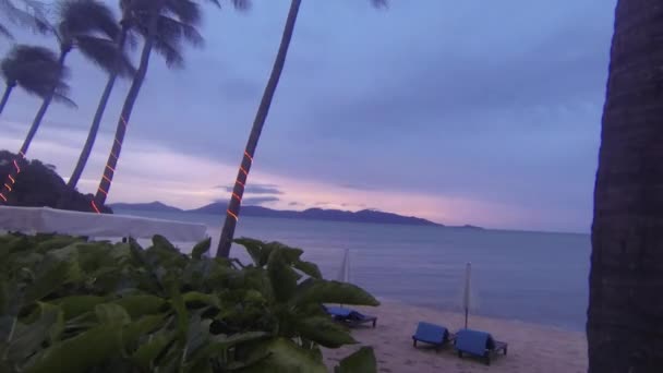 吉隆坡 马来西亚 亚洲时差 日落在一个有棕榈树的海滩上 — 图库视频影像