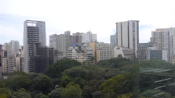 Cidade São Paulo Edifícios Por Trás Exuberante Green Park — Vídeo de Stock