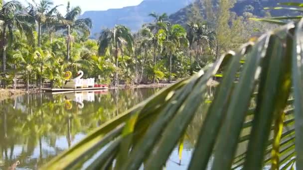 Bellissimo Lago Nei Canyon Verdi Con Pagaia Duck Rides Hand — Video Stock