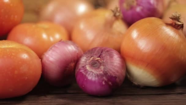 Ντομάτα Κρεμμύδι Ωμά Τομάτα Slider Δεξιά Προς Αριστερά — Αρχείο Βίντεο