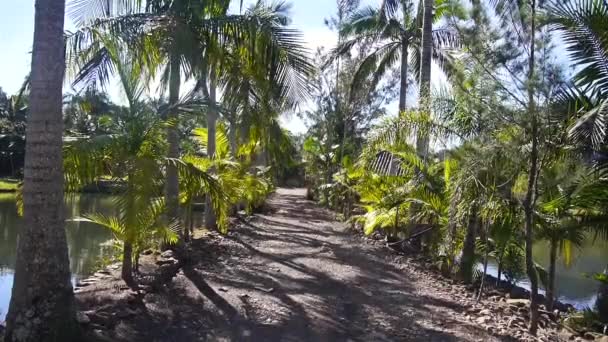 Eine Raue Straße Umgeben Von Kokospalmen Und Seen — Stockvideo
