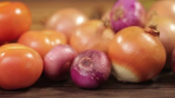 Groenten Tomaten Uien Slider Van Links Naar Rechts — Stockvideo