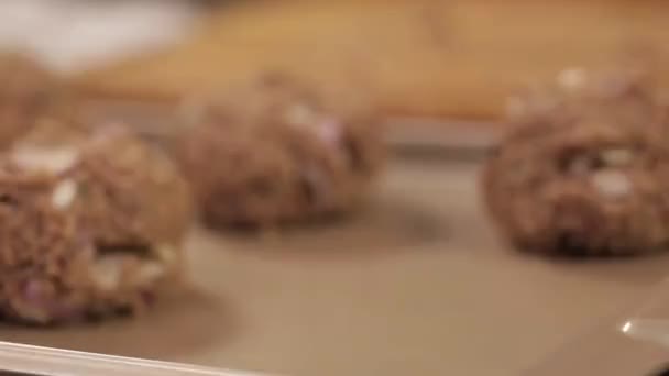 Fleisch Patty Mischung Fleischbällchen Auf Einem Tablett Nahaufnahme — Stockvideo