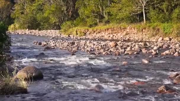 Água Rápida Que Flui Através Rio — Vídeo de Stock