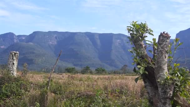 Drahtzaun Ein Feld Mit Grünen Schluchten — Stockvideo