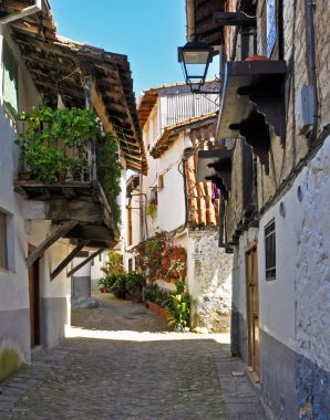 Dar beyaz sokak parlak bitkiler