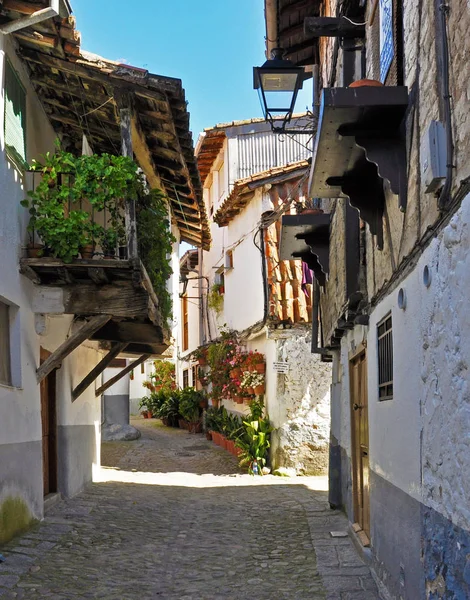 Dar beyaz sokak parlak bitkiler