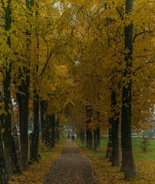 Jesieni nad miasta rano — Zdjęcie stockowe