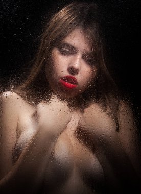 Bir kızın portresi. 