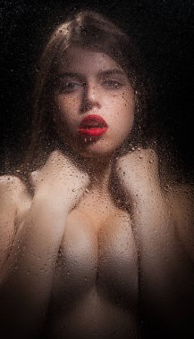 Bir kızın portresi. 