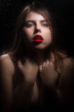 Bir kızın portresi. 