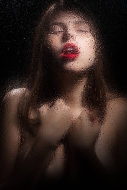 Bir kızın portresi. 