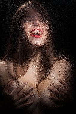 Bir kızın portresi. 