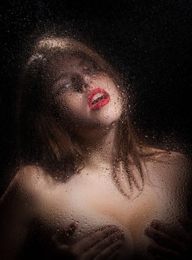 Bir kızın portresi. 