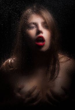 Bir kızın portresi. 