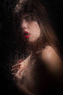 Bir kızın portresi. 