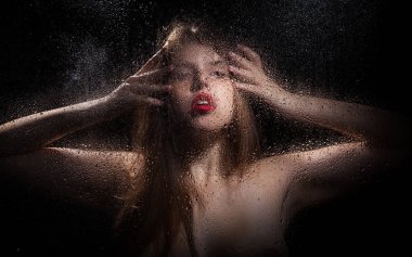 Bir kızın portresi. 