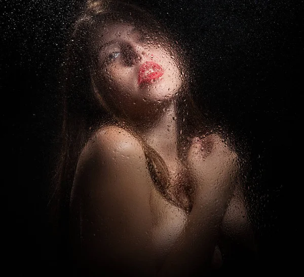 Bir kızın portresi. 