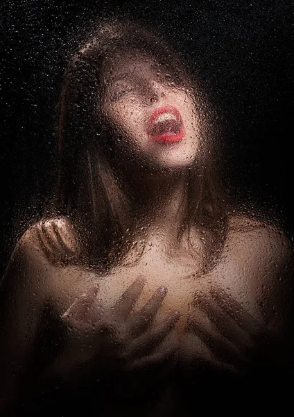 Bir kızın portresi. 