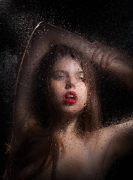 Bir kızın portresi. 