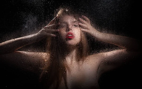 Bir kızın portresi. 